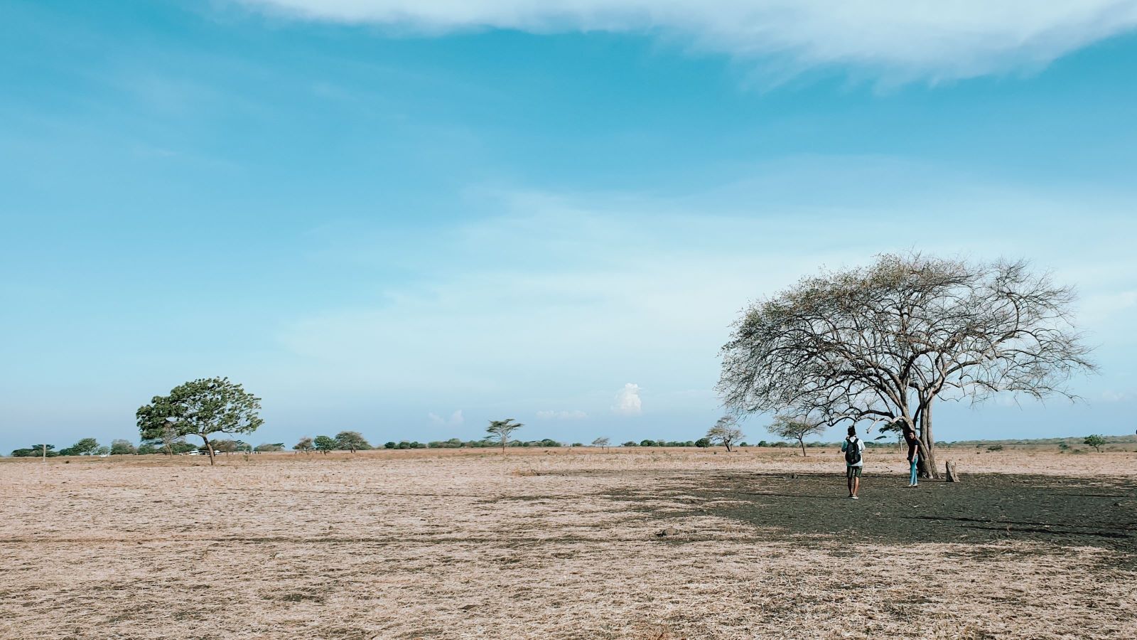 baluran